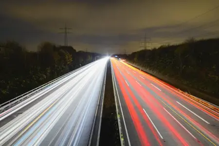 Achiziționarea vinietei bulgărești online